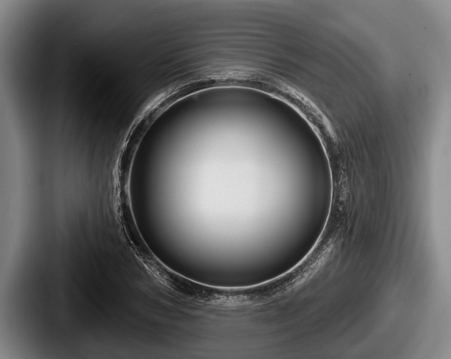 X0000087680978200705111257