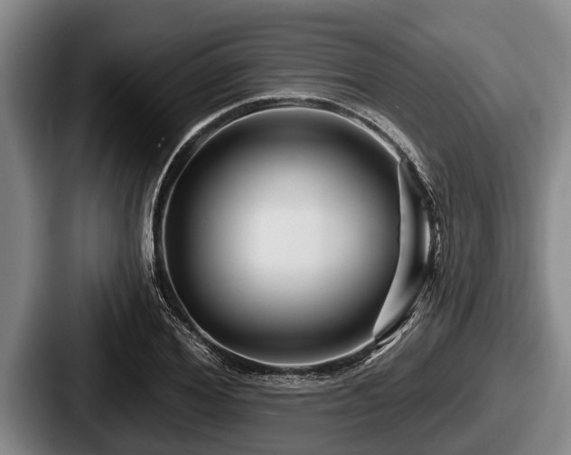 X0000087680980200705111257