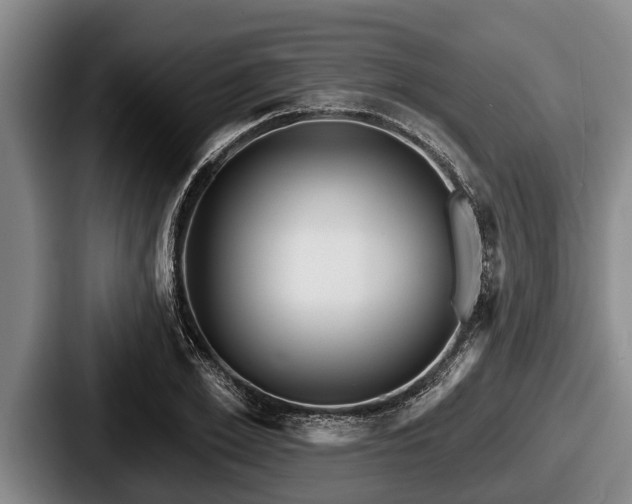 X0000087680981200705111257