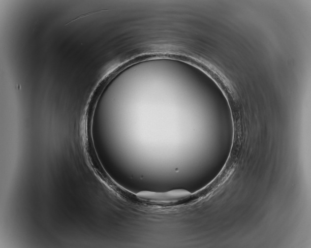 X0000087680982200705111257