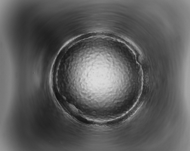 X0000087680983200705111257