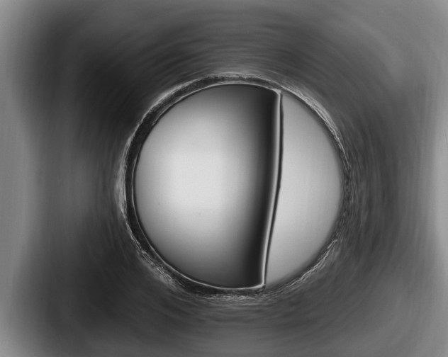 X0000087680984200705111257