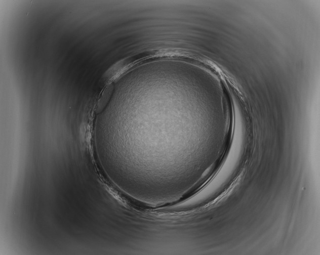 X0000087680985200705111257