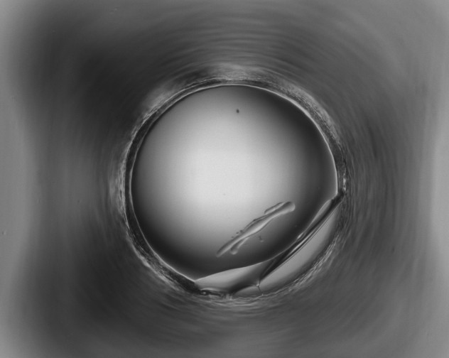 X0000087680986200705111257