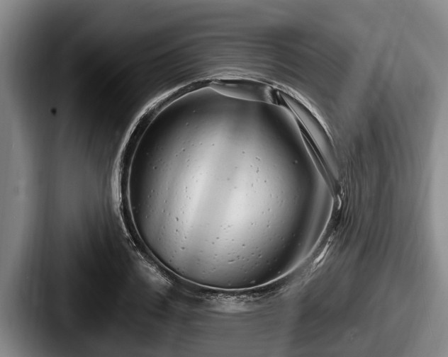 X0000087680987200705111257