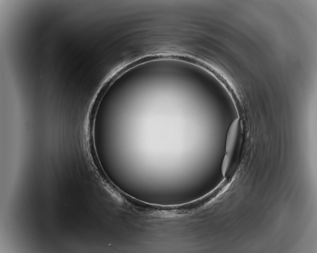 X0000087680990200705111257