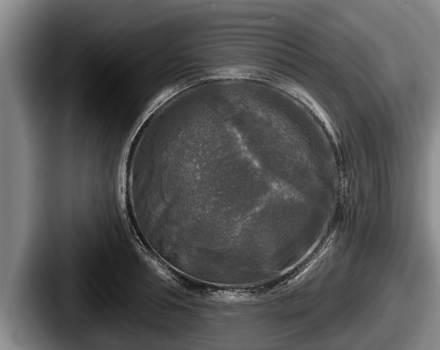X0000087680994200705111257