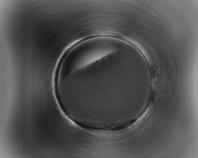 X0000087680995200705111257