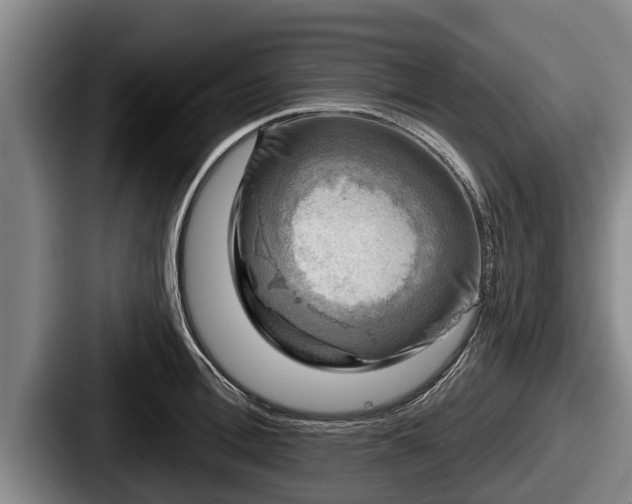 X0000087680996200705111257