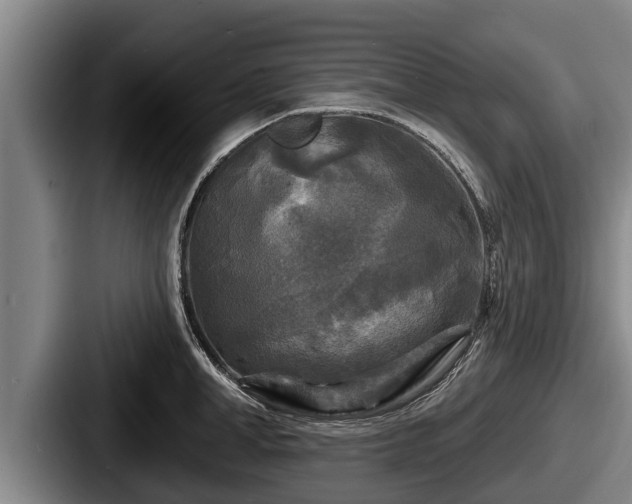 X0000087680998200705111257