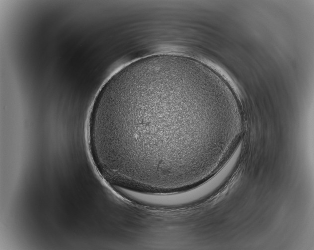 X0000087680999200705111257
