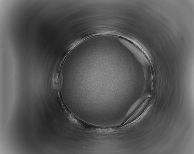 X0000087681001200705111257