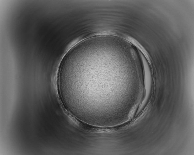 X0000087681002200705111257