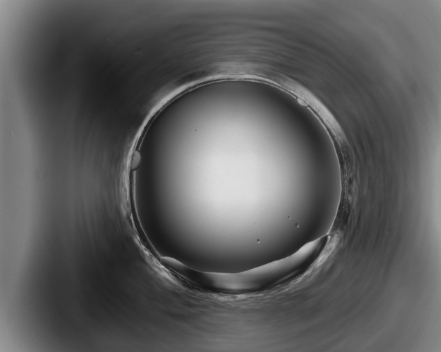 X0000087681004200705111257