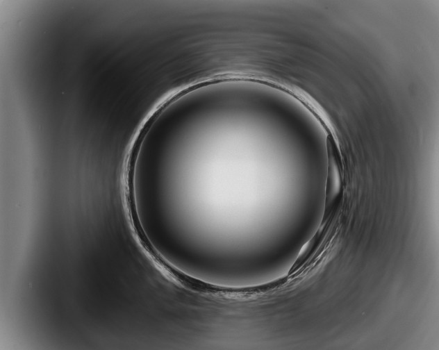 X0000087681005200705111257