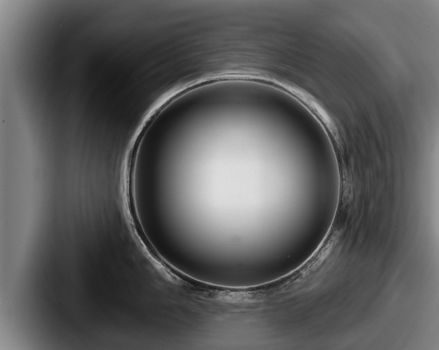 X0000087681006200705111257