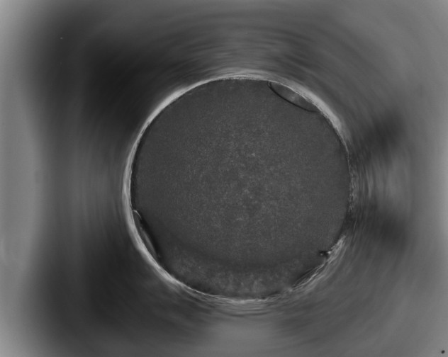 X0000087681007200705111257