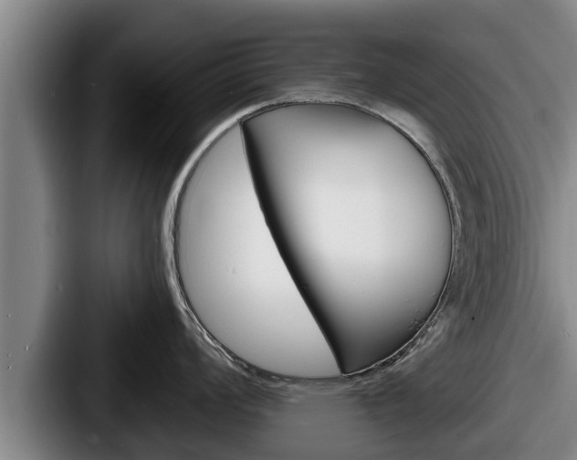 X0000087681008200705111257