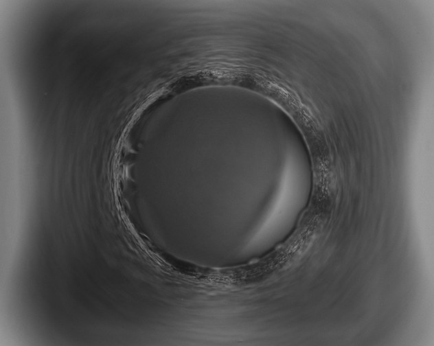 X0000087681009200705111256