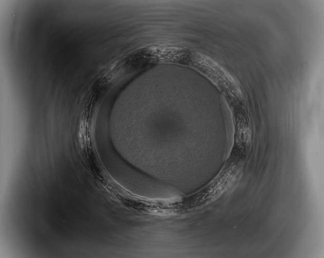 X0000087681010200705111256