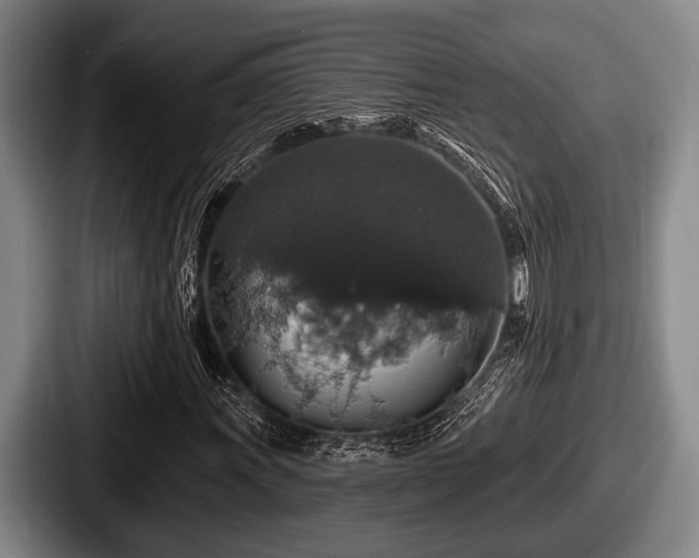X0000087681011200705111256