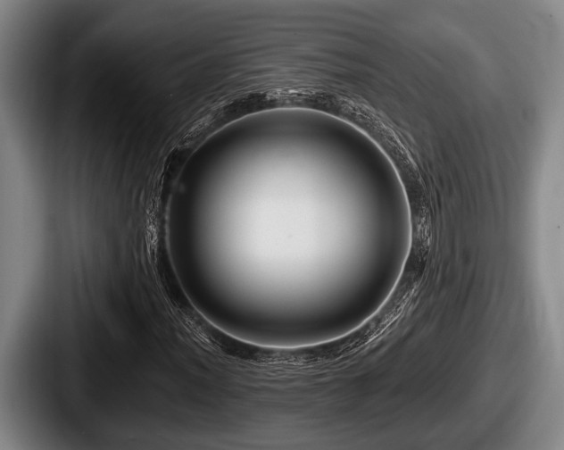 X0000087681012200705111256