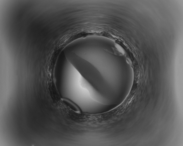 X0000087681013200705111256