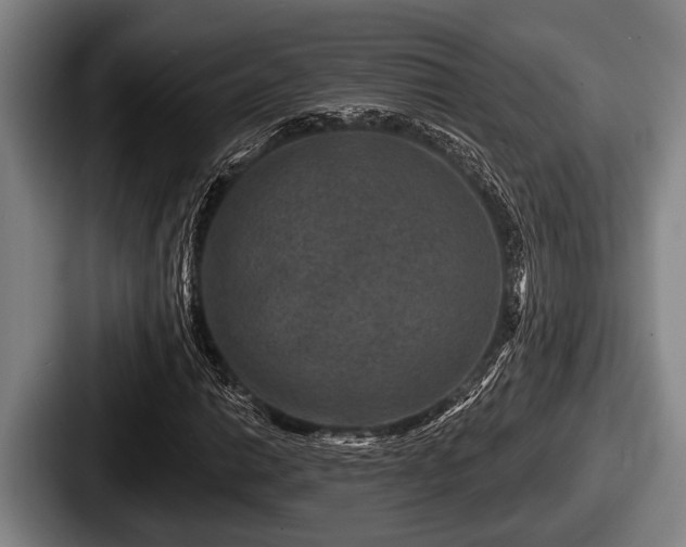 X0000087681014200705111256