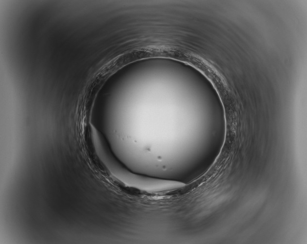 X0000087681015200705111256