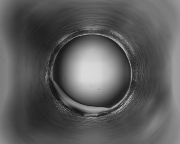 X0000087681017200705111256