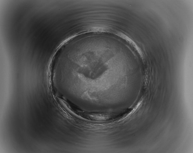 X0000087681019200705111256