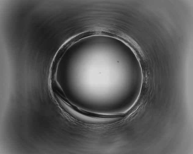 X0000087681020200705111256