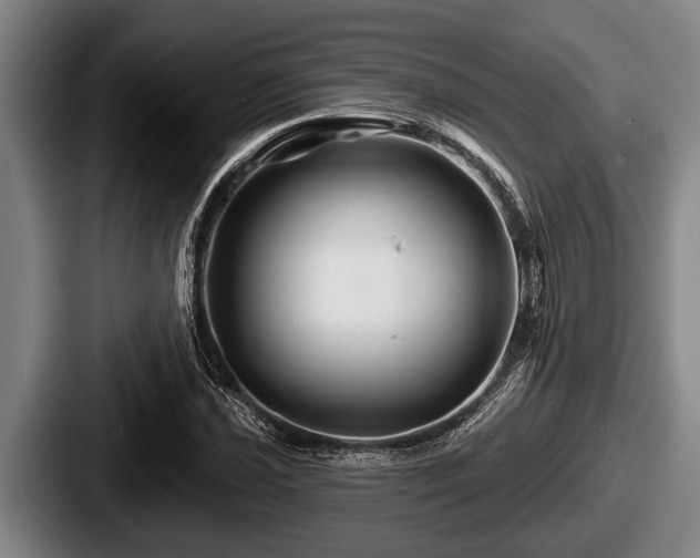 X0000087681021200705111256
