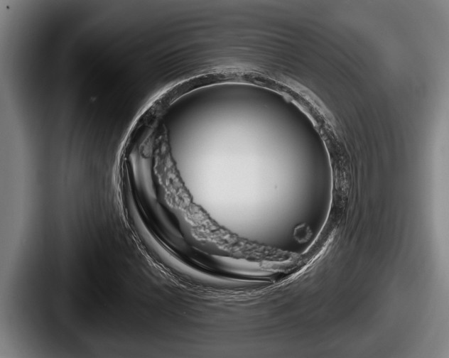 X0000087681022200705111256
