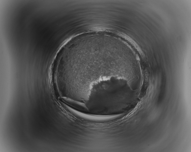 X0000087681023200705111256