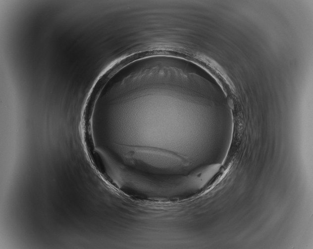 X0000087681024200705111256