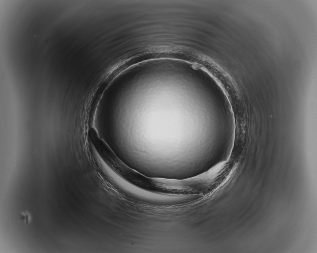 X0000087681025200705111256