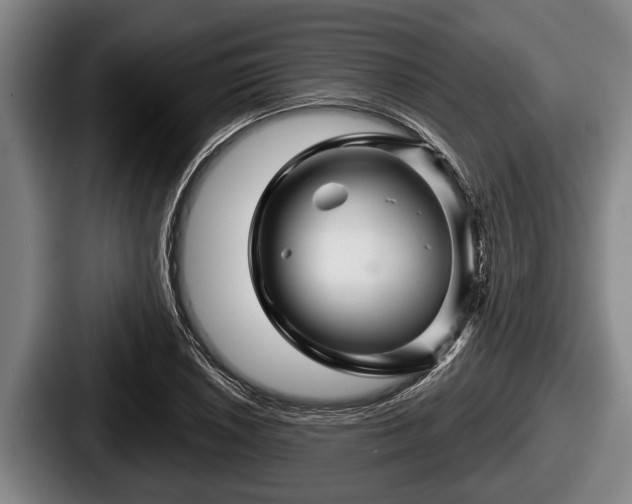 X0000087681026200705111256