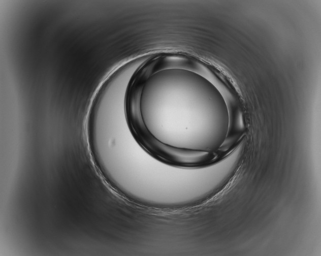 X0000087681030200705111256