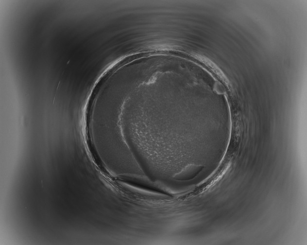 X0000087681031200705111256