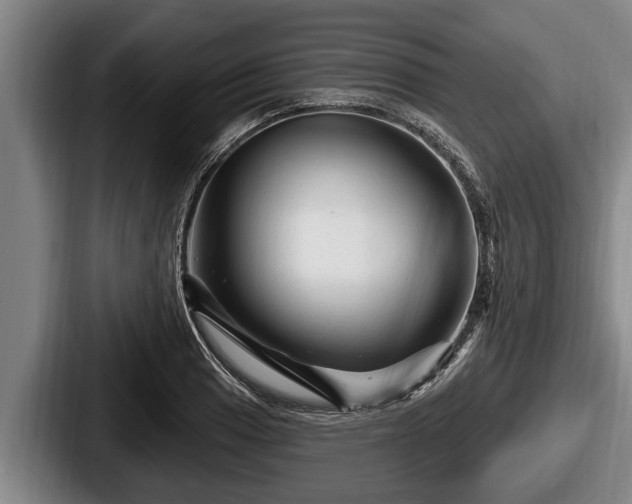 X0000087681033200705111256