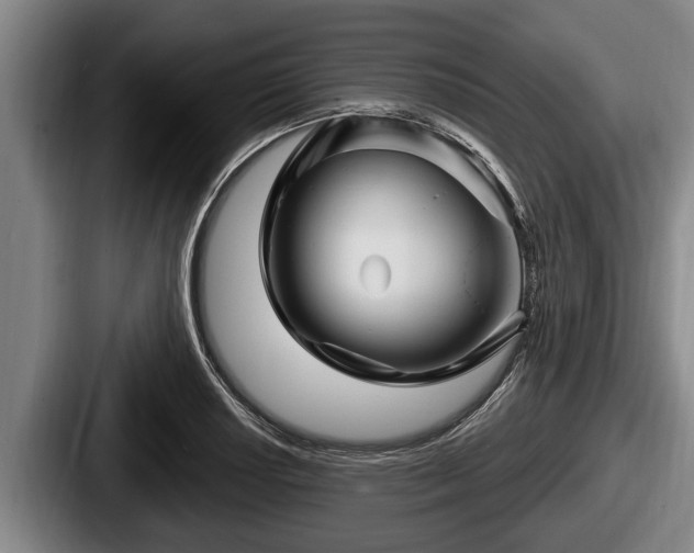 X0000087681034200705111256