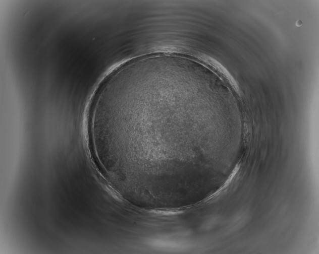 X0000087681035200705111256