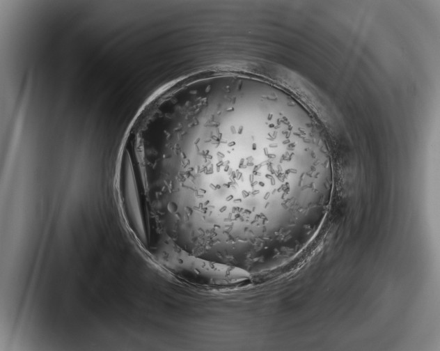 X0000087681036200705111256