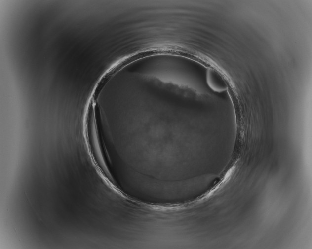 X0000087681037200705111256
