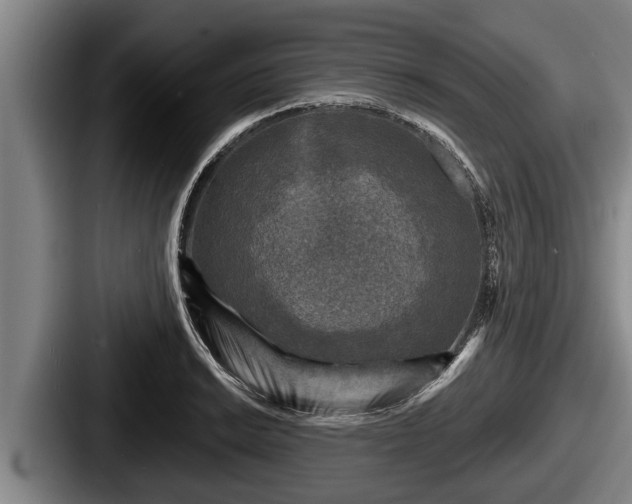 X0000087681038200705111256