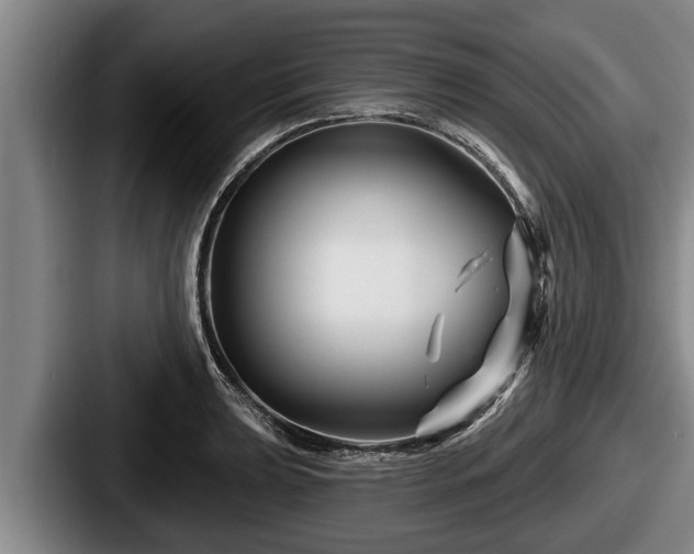 X0000087681039200705111256