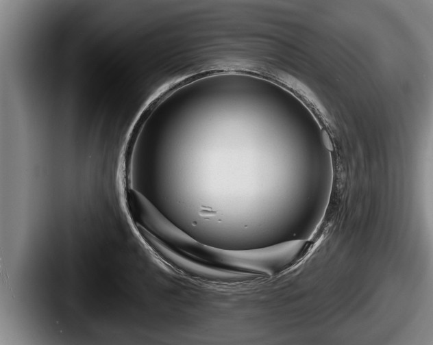 X0000087681040200705111256