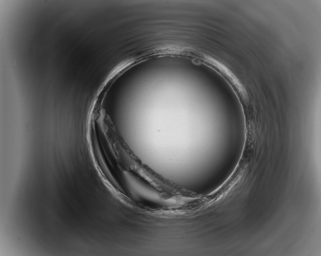 X0000087681042200705111256