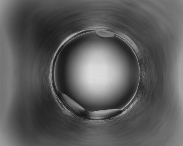 X0000087681044200705111256